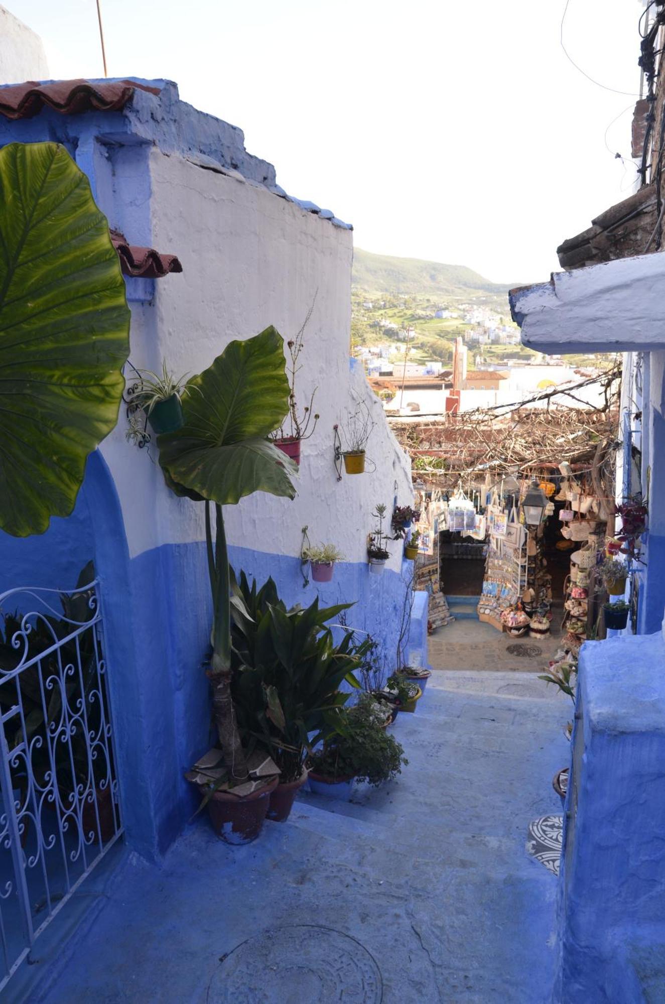 Dar Aldea Hotel Chefchaouen Eksteriør billede